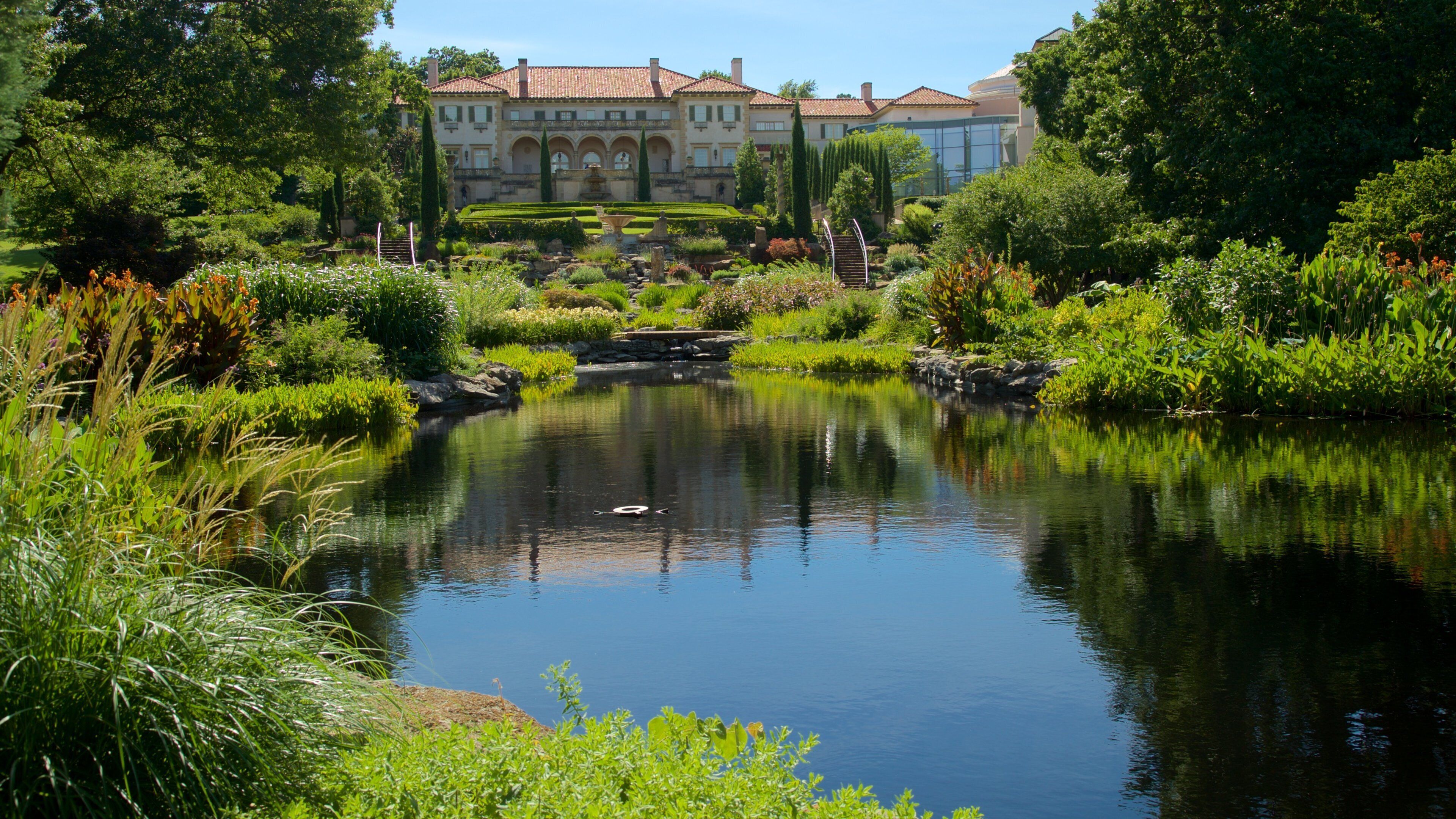 A serene pond with a swan, surrounded by lush greenery and a grand building in the background.