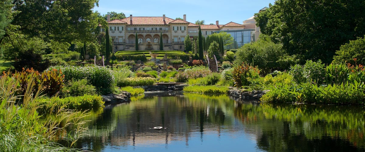 A serene pond with a swan, surrounded by lush greenery and a grand building in the background.
