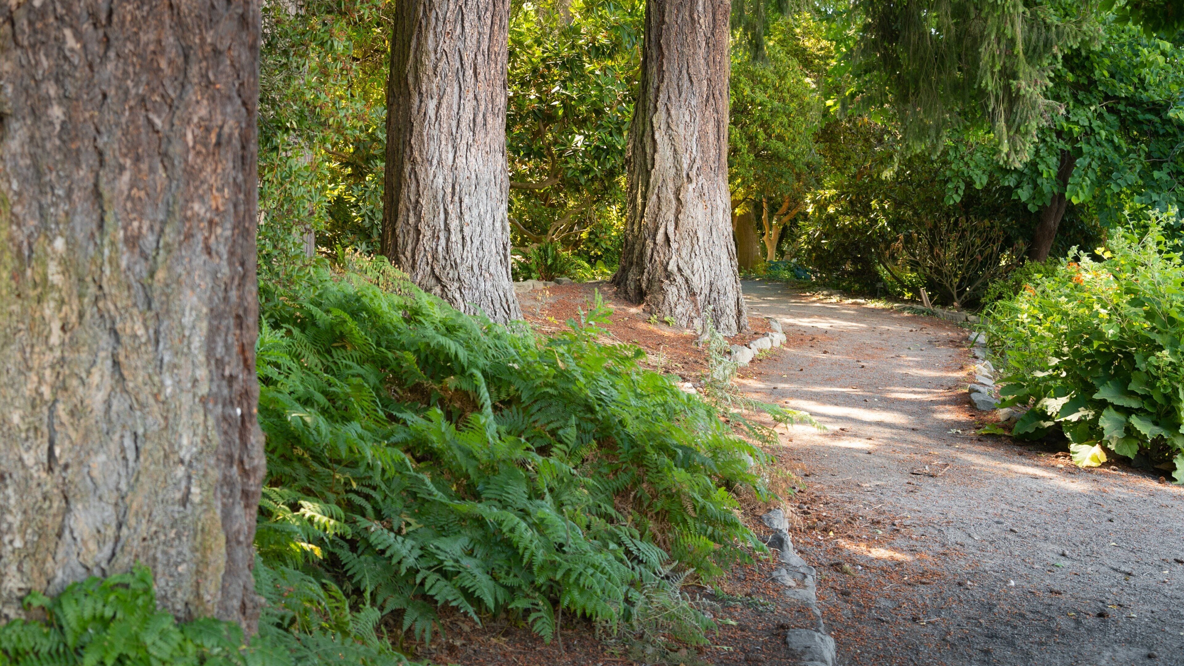 Crystal Springs Rhododendron Garden which includes a garden