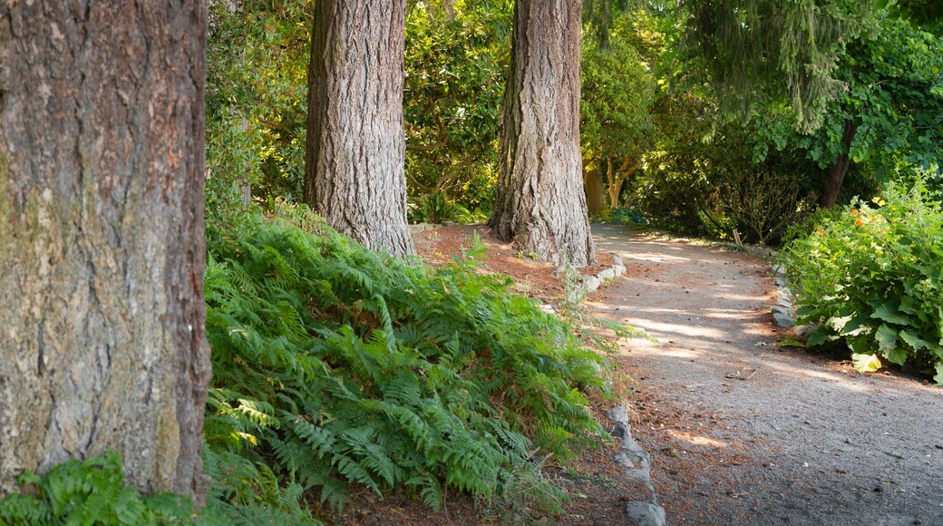 Crystal Springs Rhododendron Garden which includes a garden
