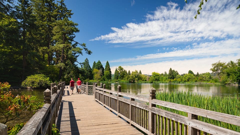 Crystal Springs Rhododendron Garden showing a bridge and a lake or waterhole as well as a couple