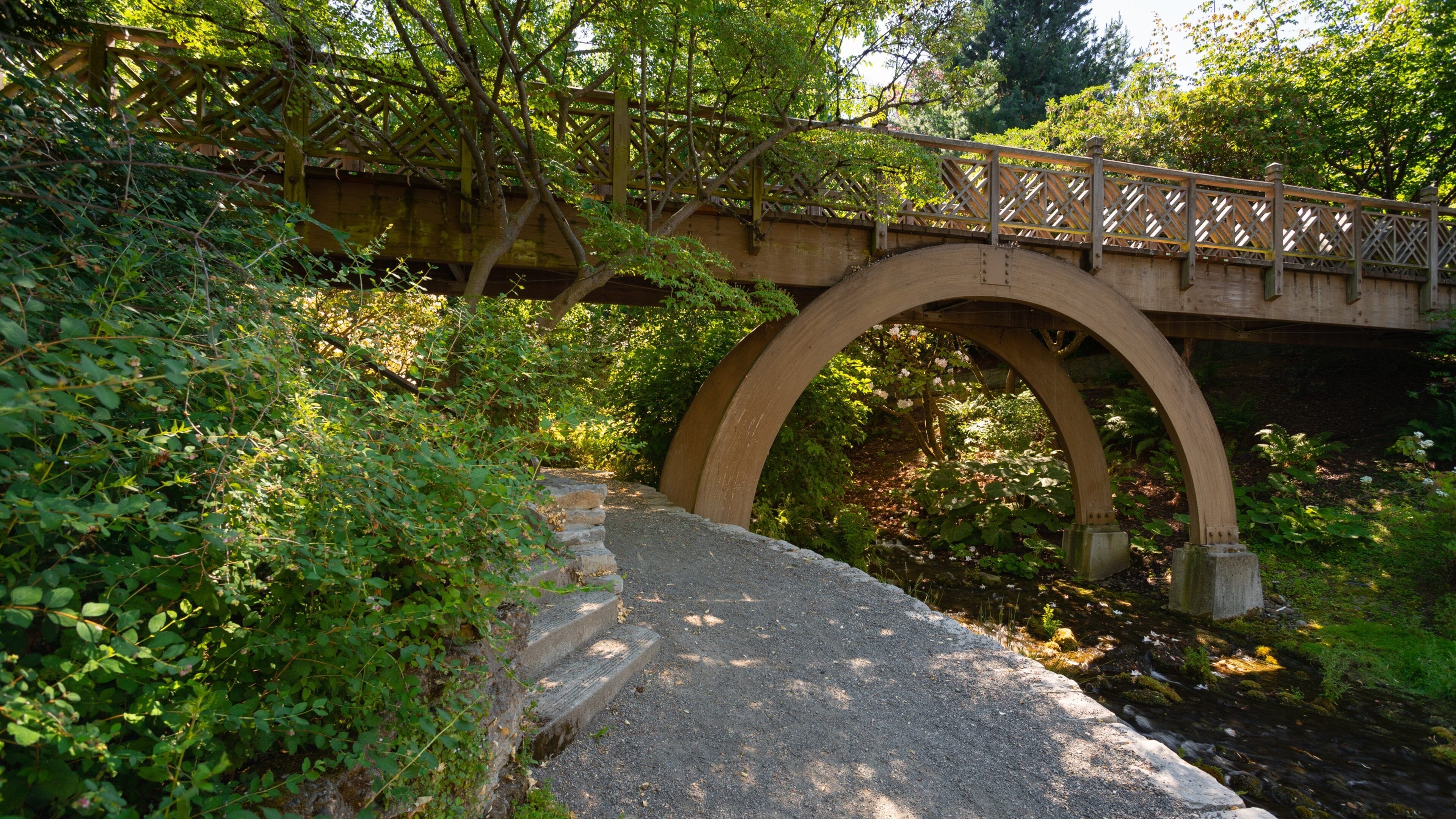 Crystal Springs Rhododendron Garden showing a bridge and a river or creek