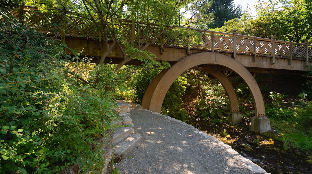 Crystal Springs Rhododendron Garden showing a bridge and a river or creek
