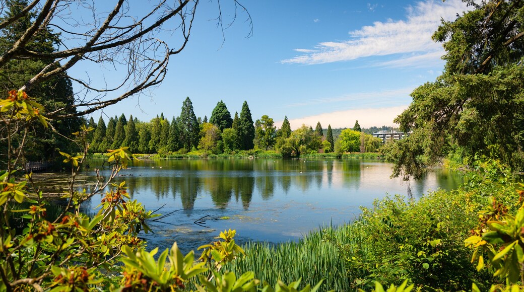 Crystal Springs Rhododendron Garden showing a lake or waterhole