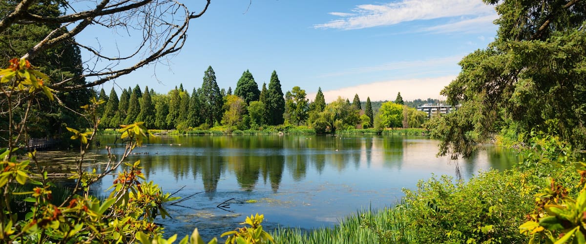 Crystal Springs Rhododendron Garden showing a lake or waterhole