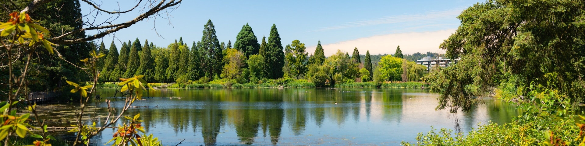 Crystal Springs Rhododendron Garden showing a lake or waterhole