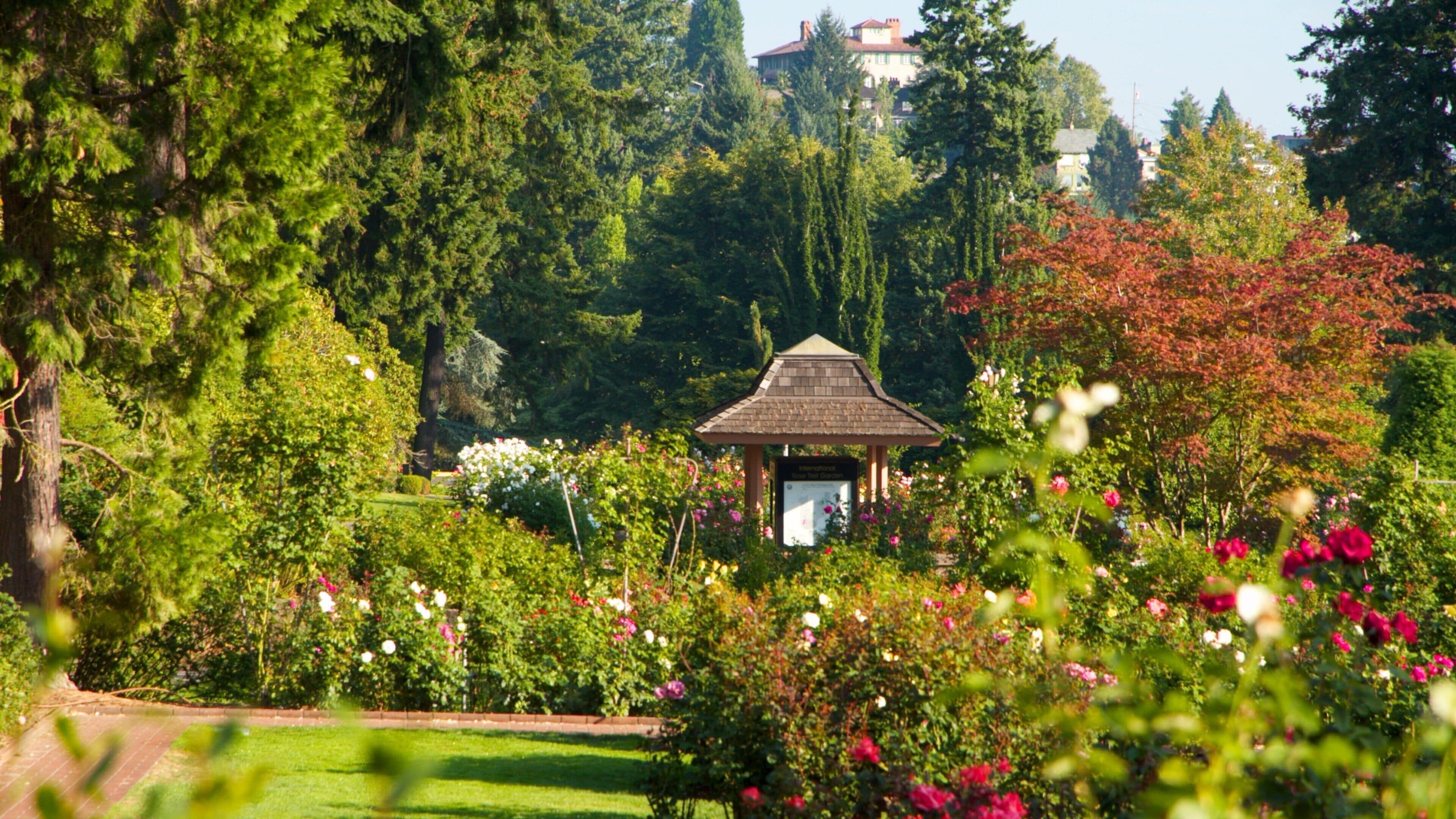 International Rose Test Garden Tours - Book Now | Expedia
