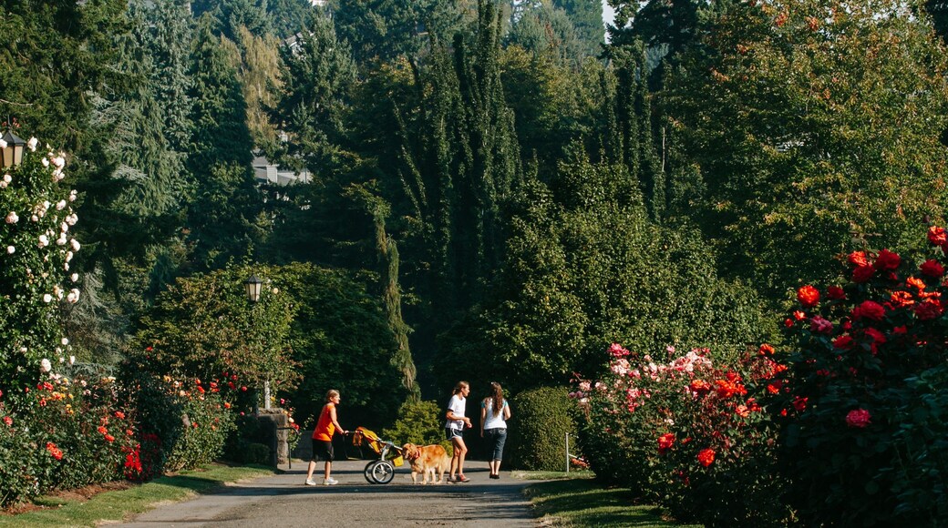 International Rose Test Garden showing a park