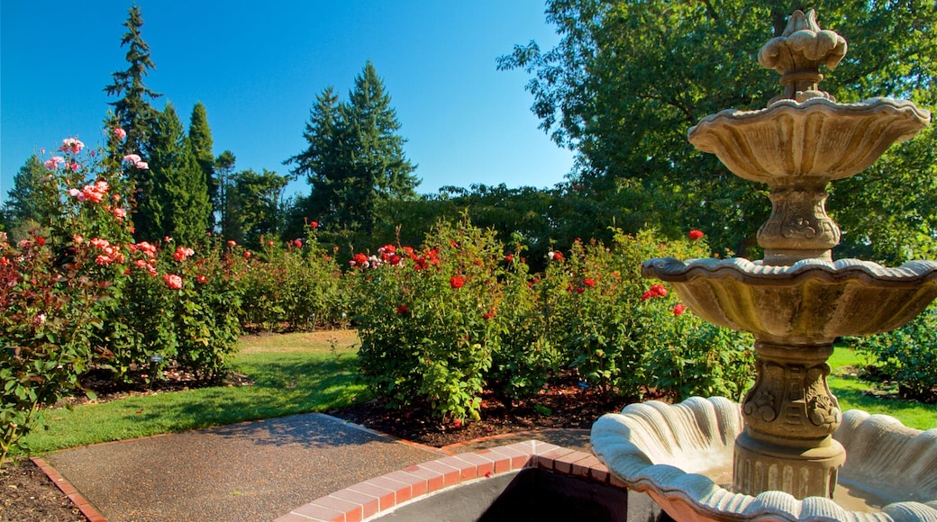インターナショナル ローズ テスト ガーデン フィーチャー 花, 野花 と 噴水