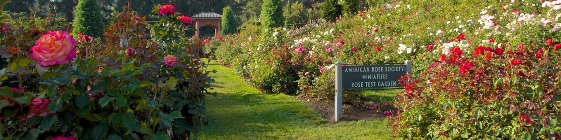 Un jardín con diversas rosas, un pabellón y un cartel del Jardín de Pruebas de Rosas Miniatura de la Sociedad Americana de Rosas.