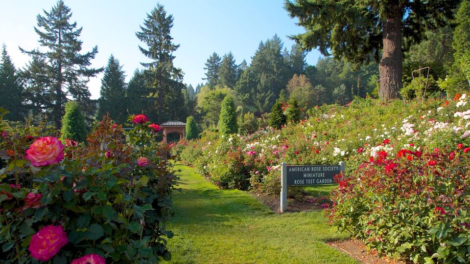 A garden with various roses, a gazebo, and a sign for the American Rose Society Miniature Rose Test Garden.