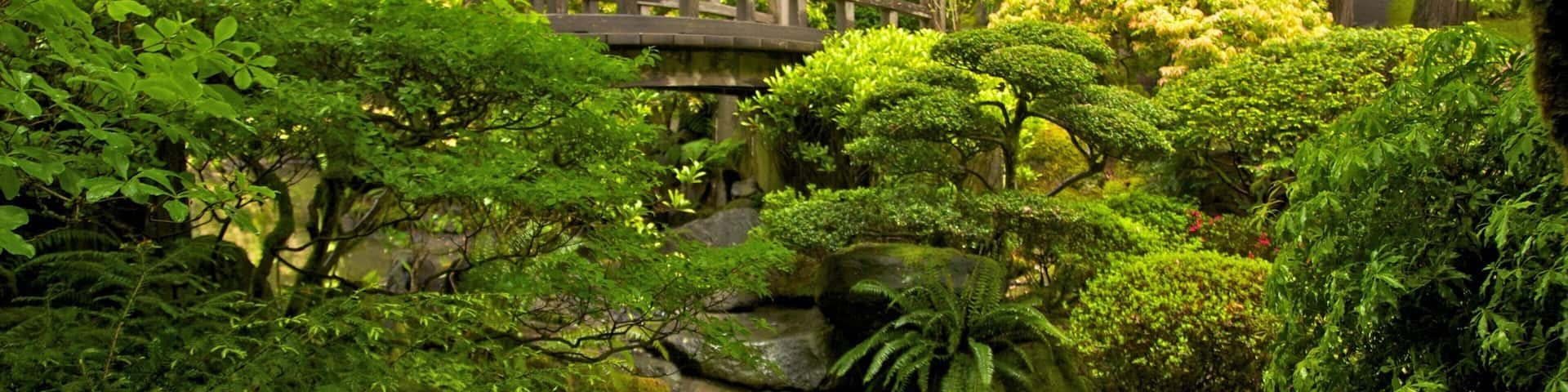 Exploring the serene beauty of Portland Japanese Garden in Oregon's lush landscape