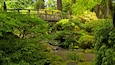 Portland Japanese Garden