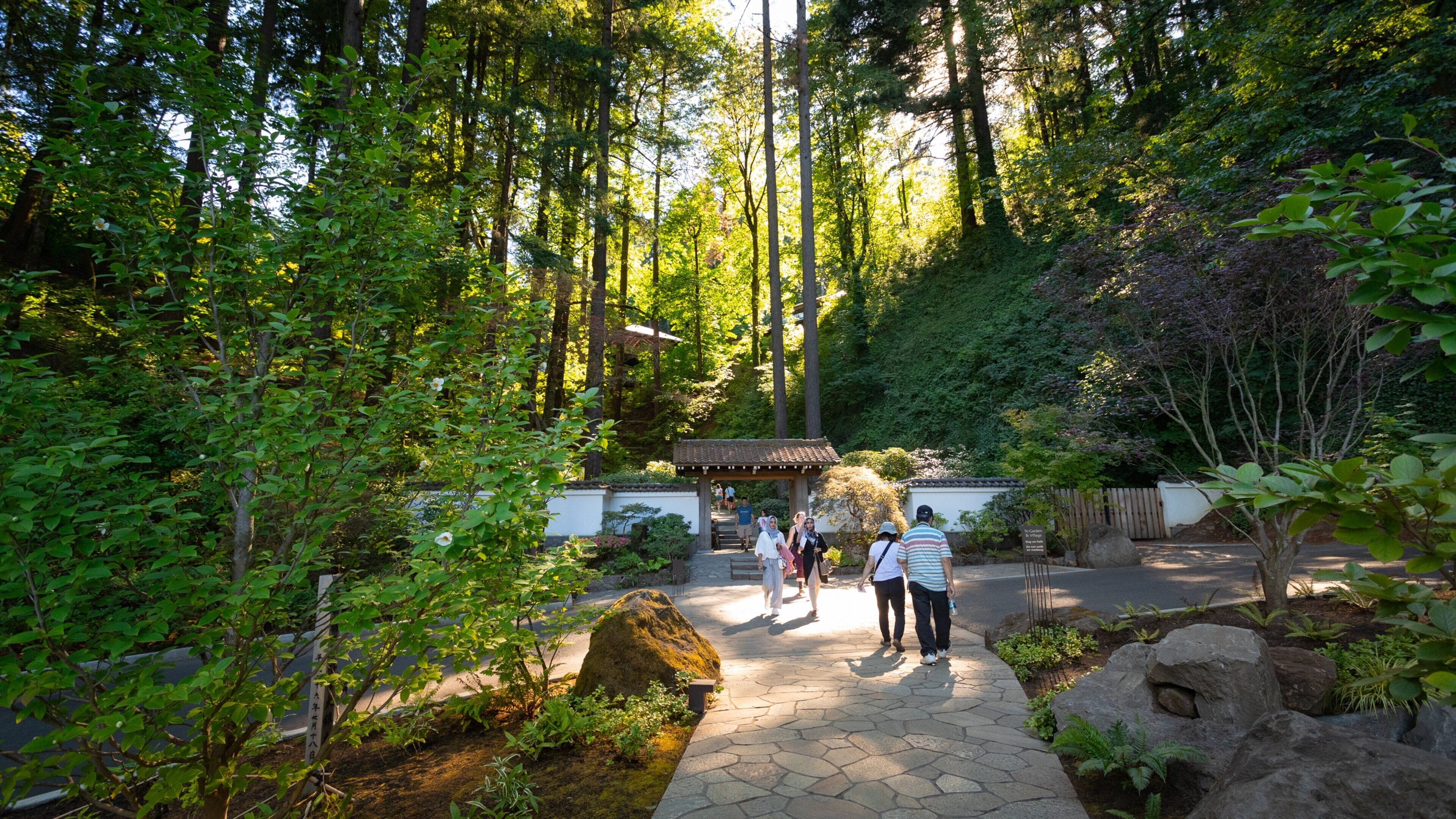 Portland Japanese Garden which includes a park and forests