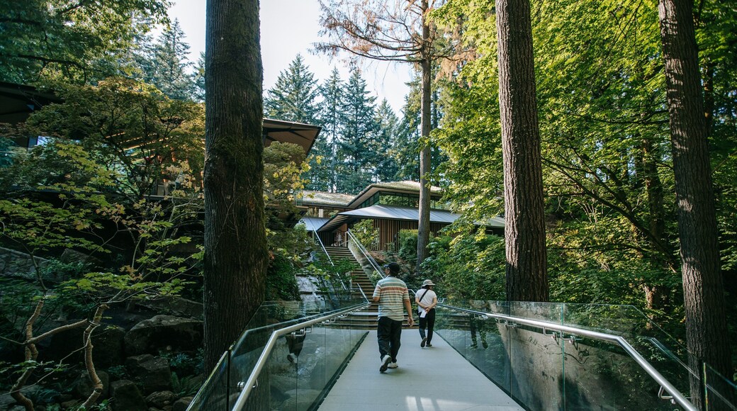 Portland Japanese Garden featuring a bridge, a garden and forest scenes