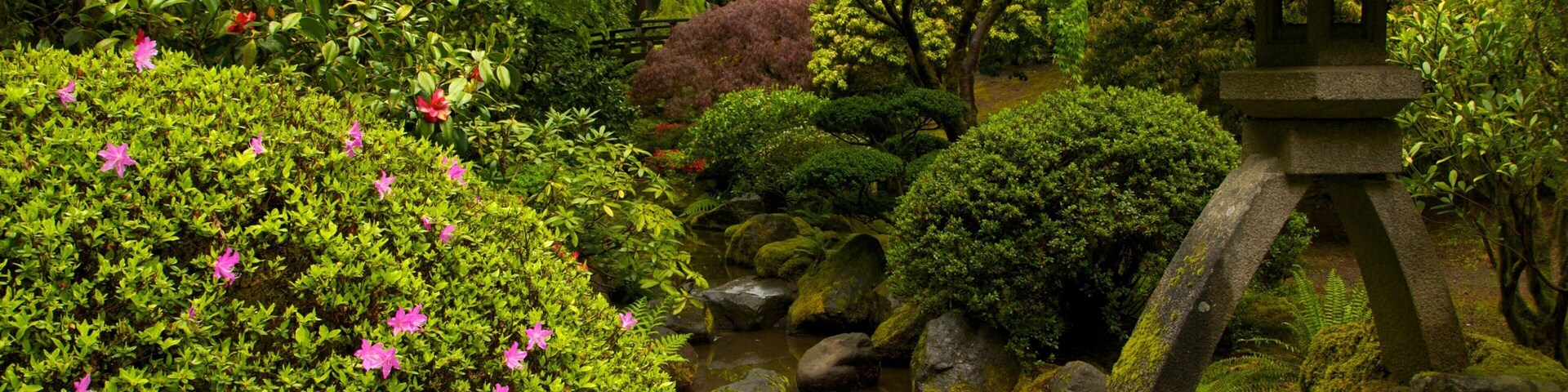 Jardín Japonés de Portland que incluye un parque y vistas panorámicas