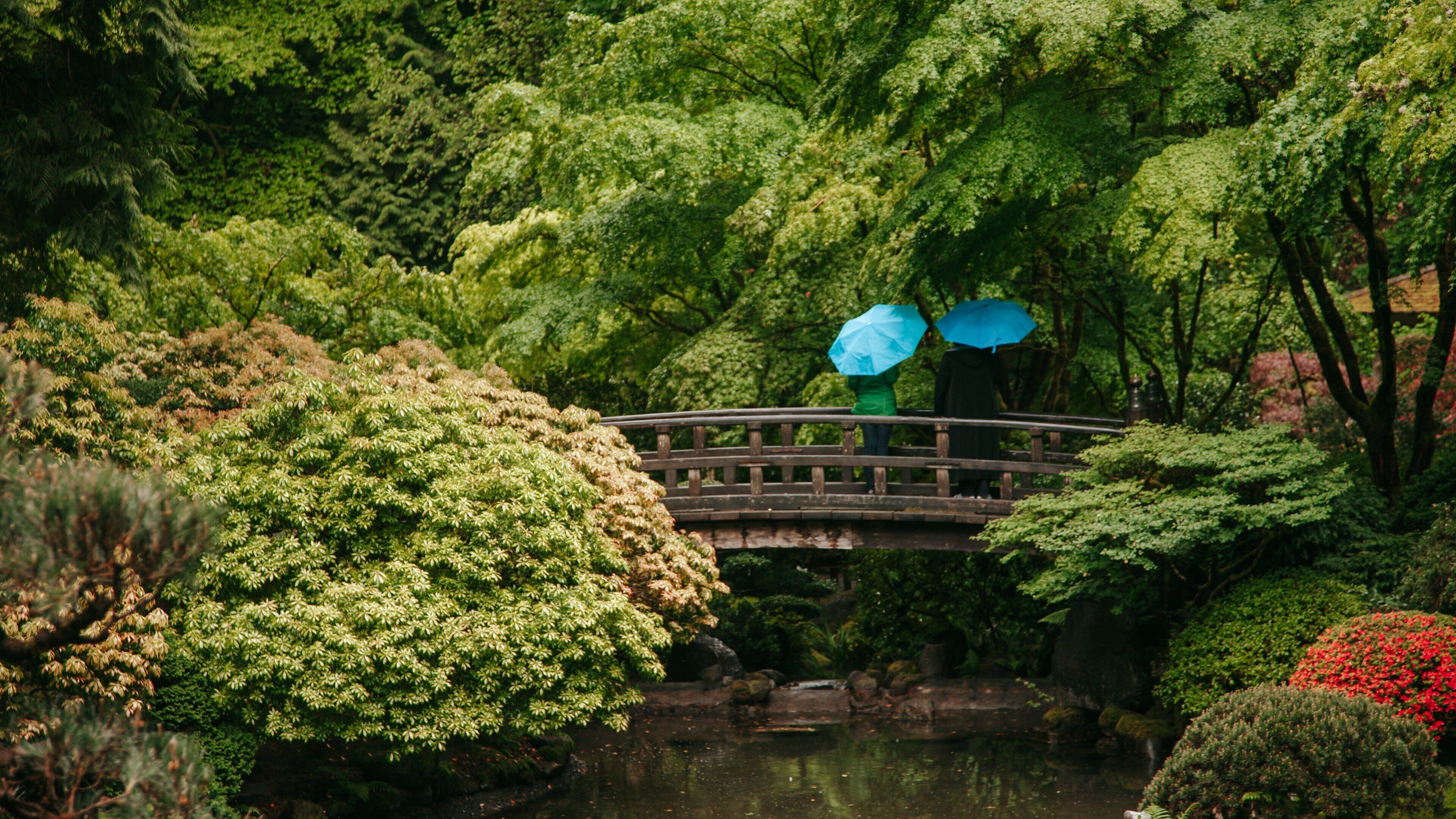 Portland Japanese Garden which includes a bridge, a pond and a garden