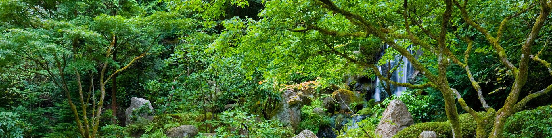 Un estanque tranquilo con un pequeño pagodas de piedra, abundante vegetación y una cascada al fondo.