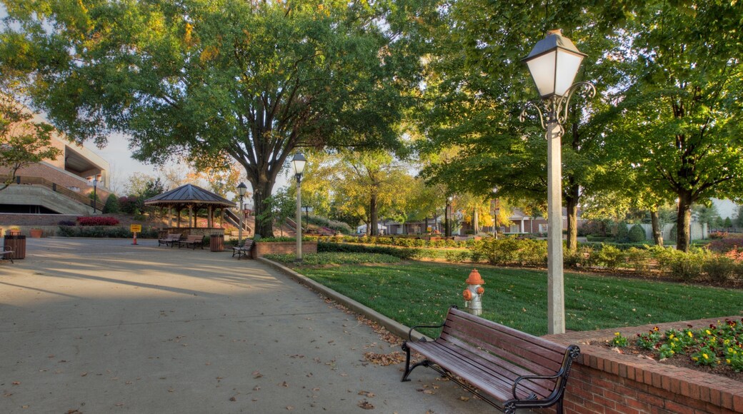 Grand Ole Opry showing a park