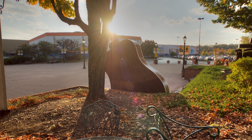 Grand Ole Opry que incluye un río o arroyo, un atardecer y arte al aire libre