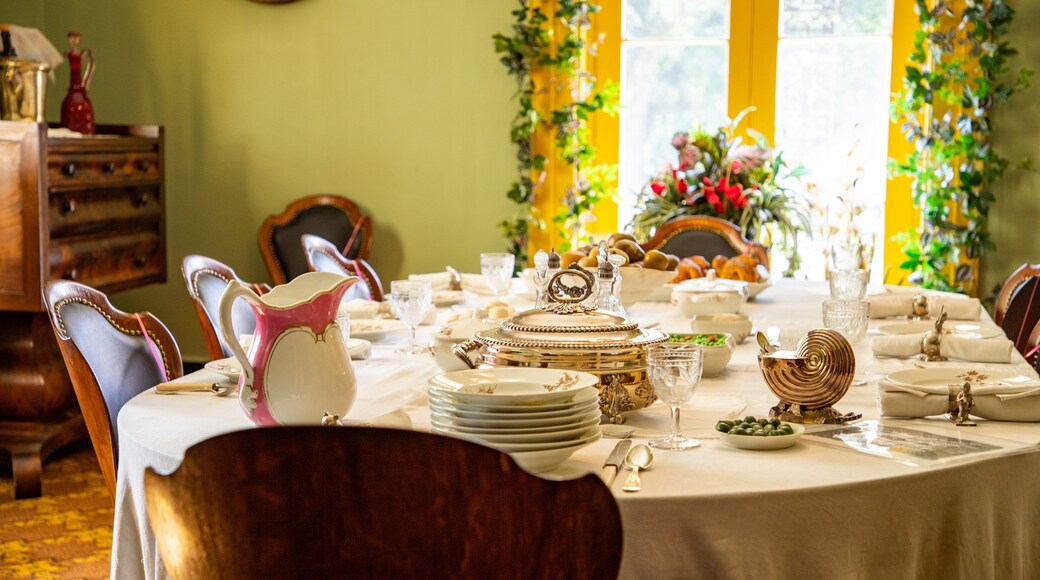 Belmont Mansion showing heritage elements, a house and interior views