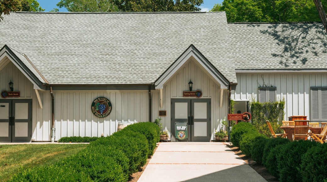 Belle Meade Plantation