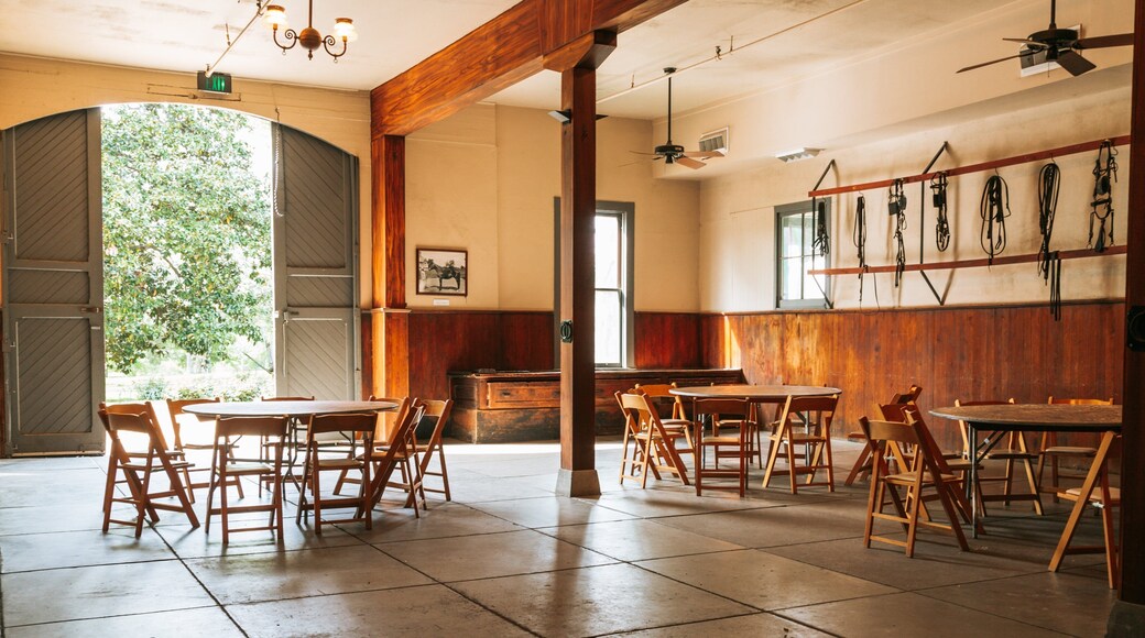 Belle Meade Plantation