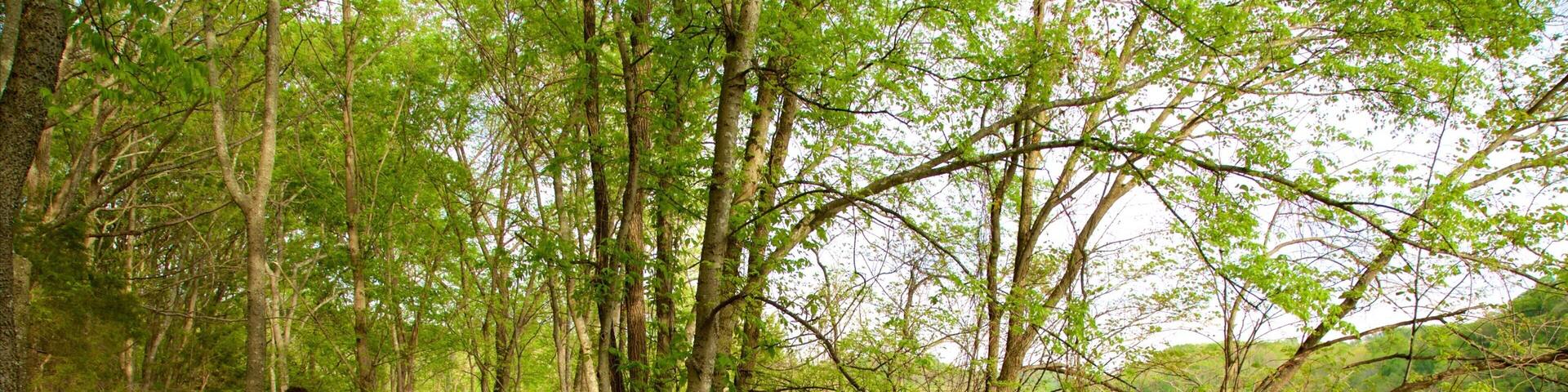 Radnor Lake State Park