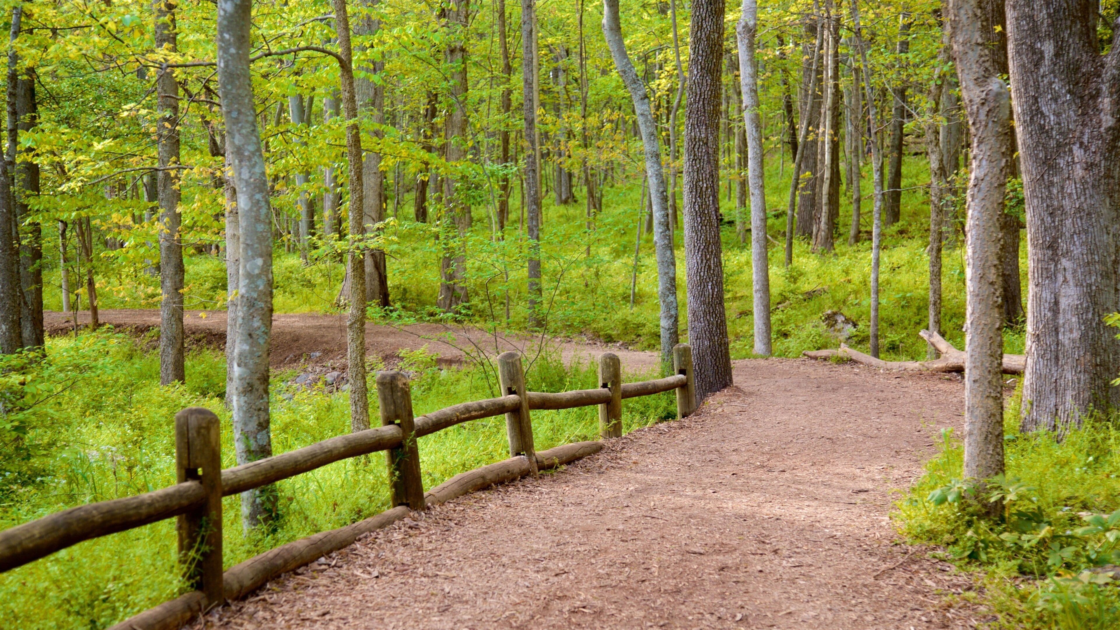 Radnor Lake State Park
