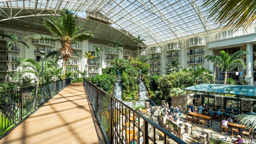 Opryland Hotel Gardens which includes a garden and interior views