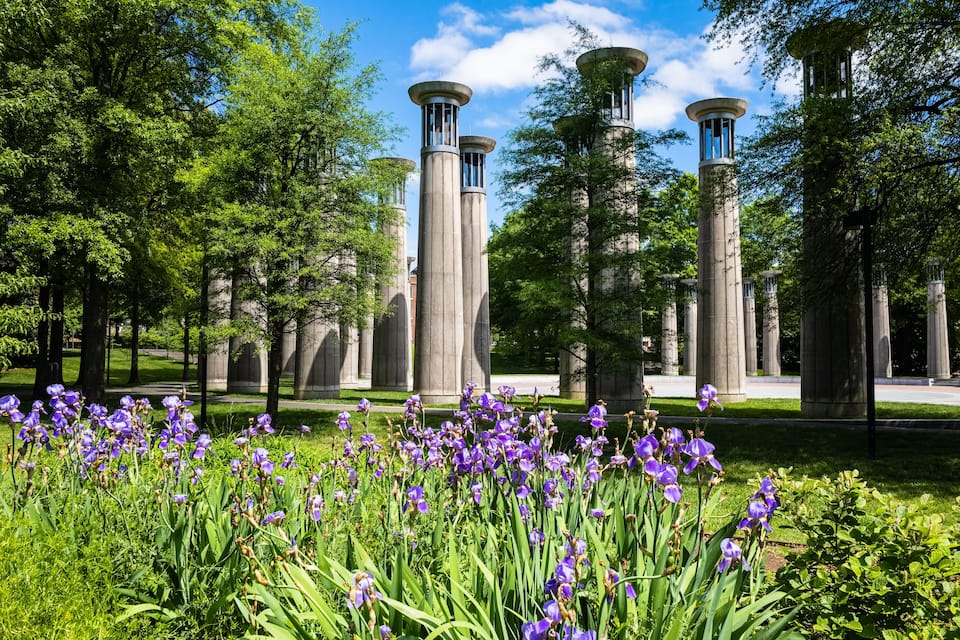 Ein Park mit hohen Säulen aus Stein und violetten Blumen.
