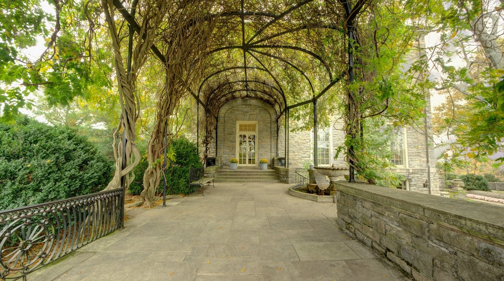 Cheekwood Estate Gardens offers serene beauty and lush landscaping in Nashville, Tennessee during the autumn season