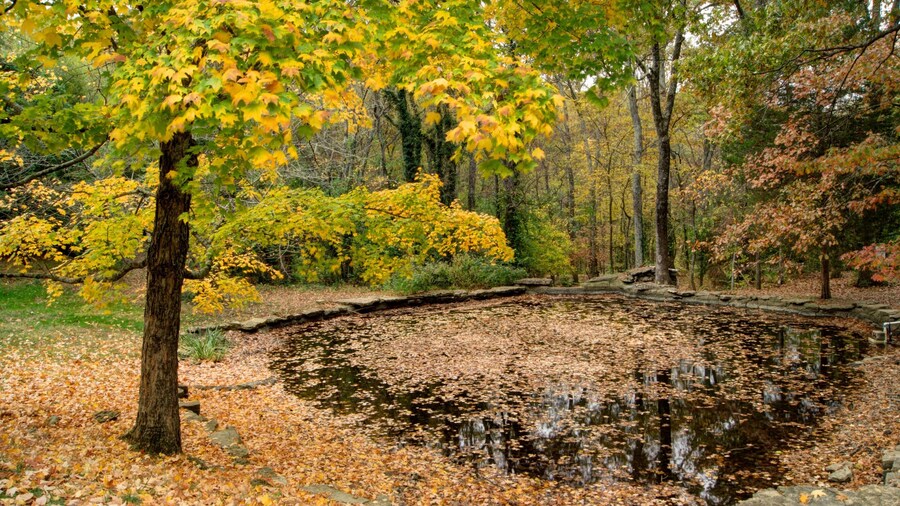 Fall colors and serene reflections at Cheekwood Estate Gardens in Nashville