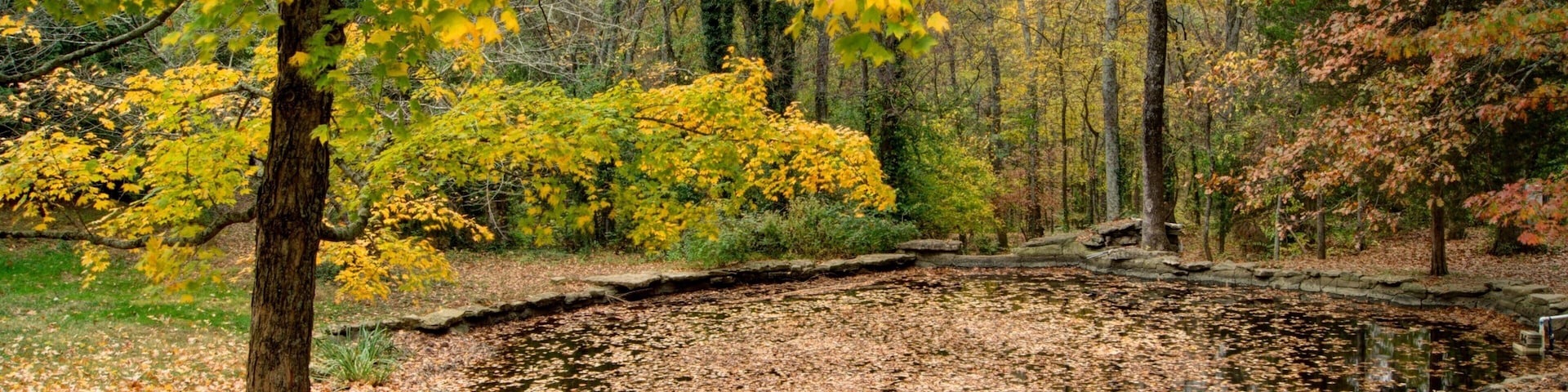 Cheekwood Botanical Gardens and Museum of Art que inclui folhas de outono, um lago e um parque