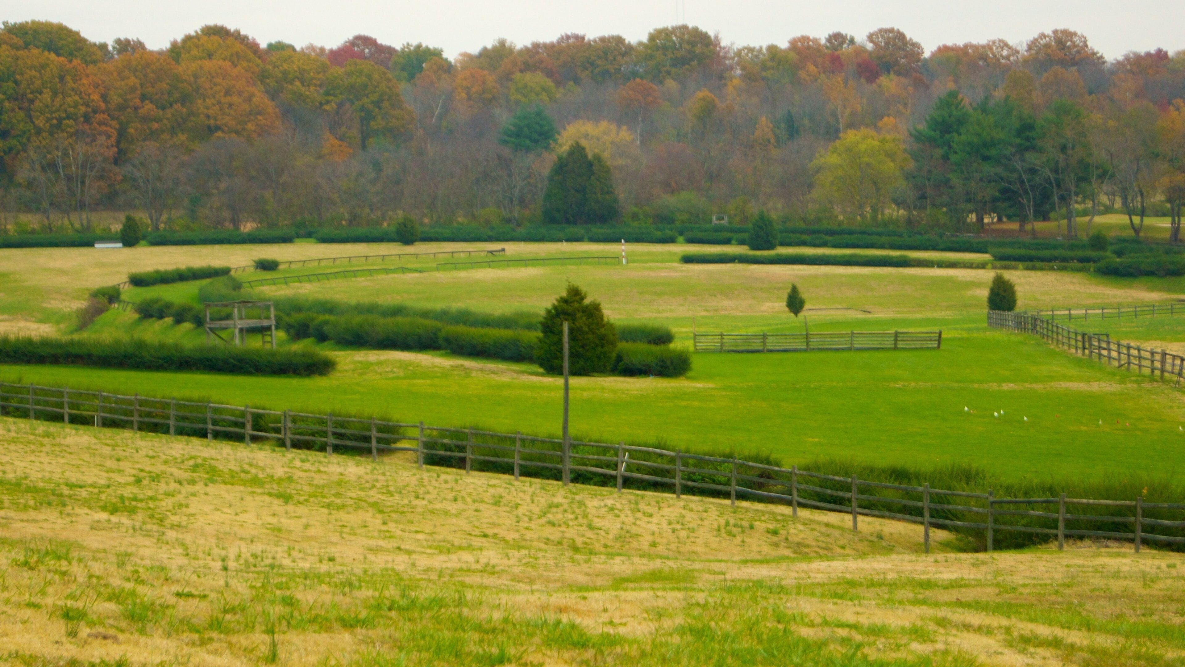 Scenic view of Edwin and Percy Warner Parks in Nashville, Tennessee with lush greenery and rustic fencing