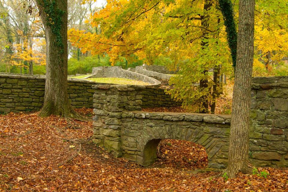 A stone bridge in a forest with autumn leaves.