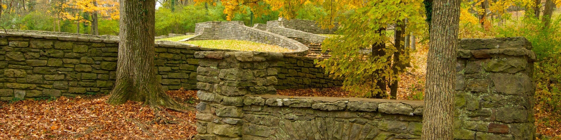Edwin and Percy Warner Parks mostrando cenas tranquilas, um parque e cores do outono