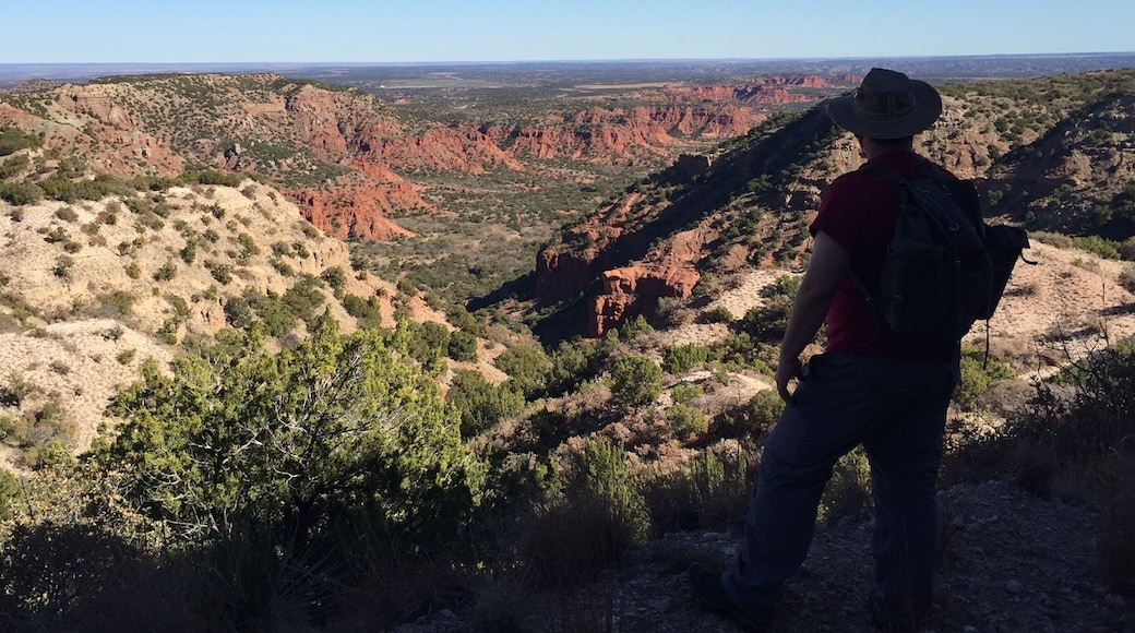 One of the many stunning views along the Haynes Ridge trail. The ascent to the ridge from the canyon loop trail is extremely strenuous, but then the trail is easy going along the top of the ridge with eyefulls galore. Take the ridge trail to where it meets up with the upper canyon trail and turn north to go past the fern cave and the last dance hoodoo on your way back to the north parking lot.