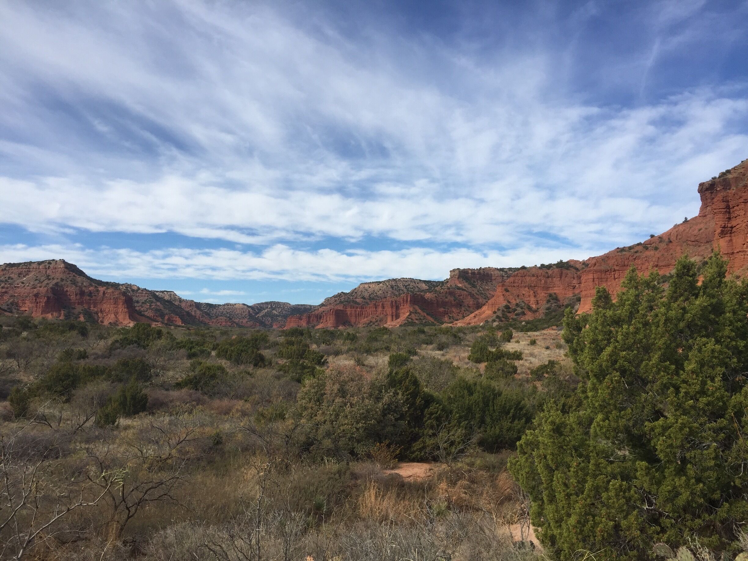The road through the park is a five mile scenic drive with gorgeous views in every direction. 