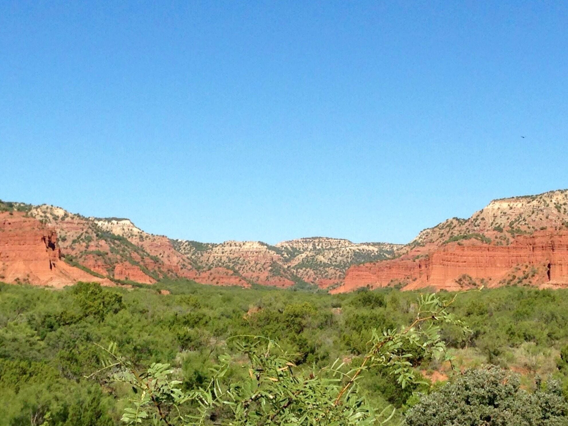 A canyon landscape with red rock formations and green vegetation.