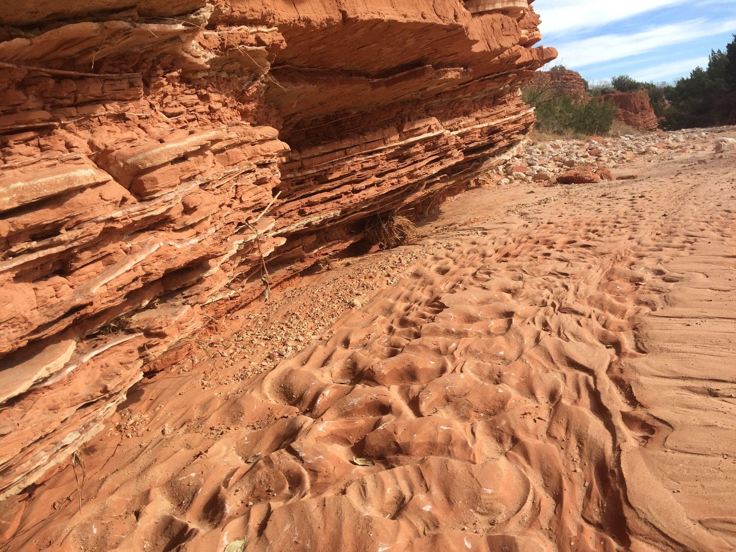 One of the most beautiful state parks in Texas! This is just off the southern fork of the upper canyon trail. 