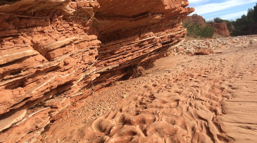 One of the most beautiful state parks in Texas! This is just off the southern fork of the upper canyon trail.