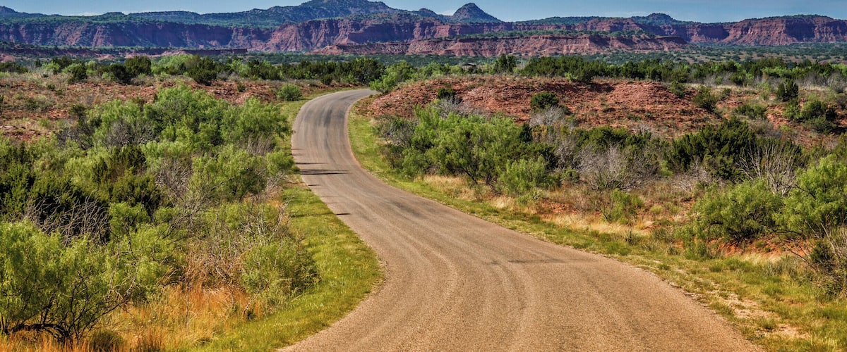 A winding dirt road through a desert landscape with sparse vegetation and distant red rock formations.