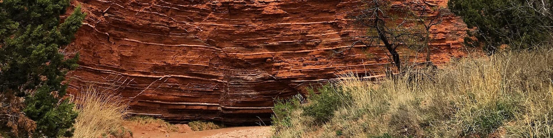 South Prong, Caprock Canyon State Park, Texas