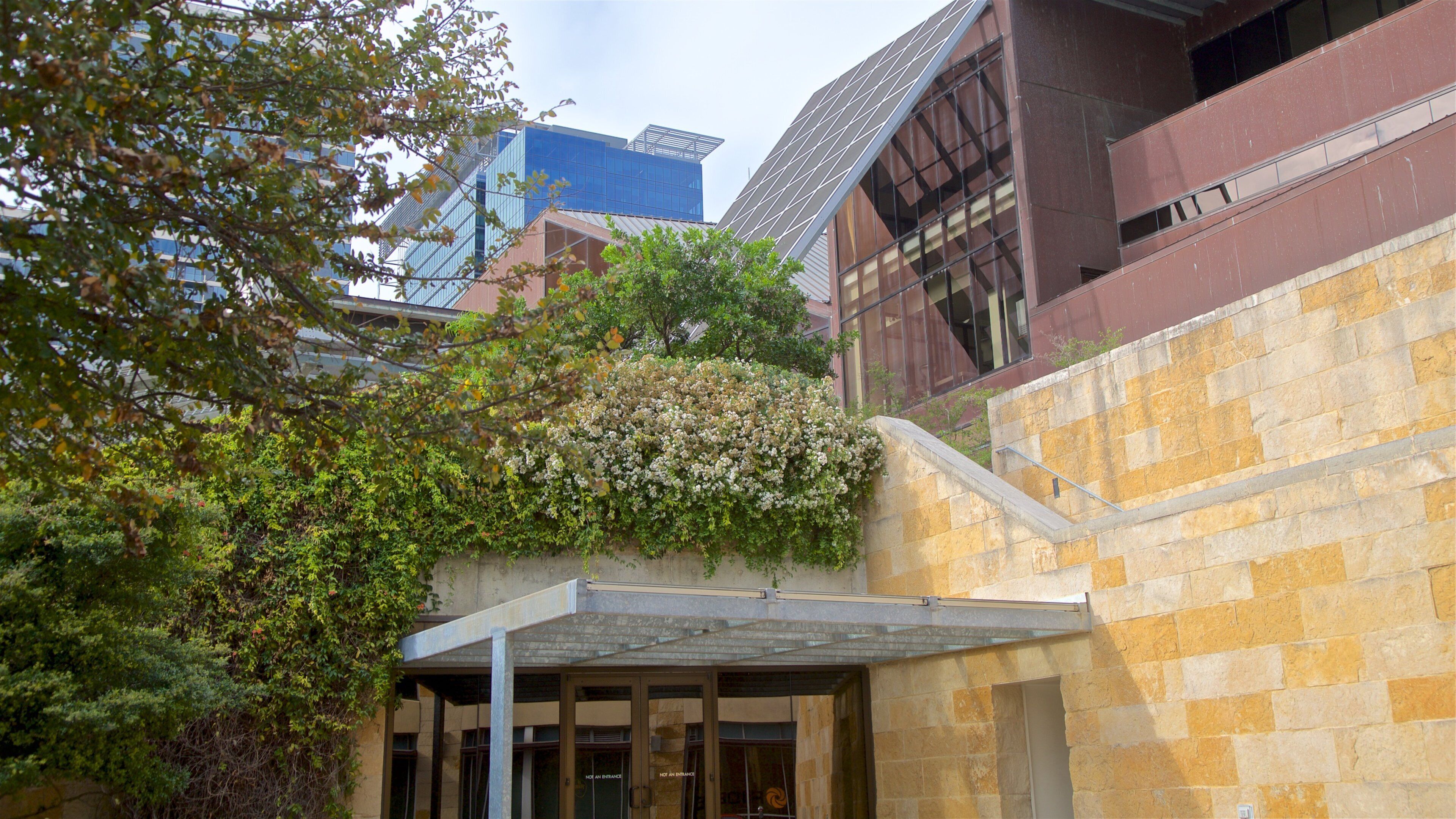 Austin City Hall which includes wildflowers