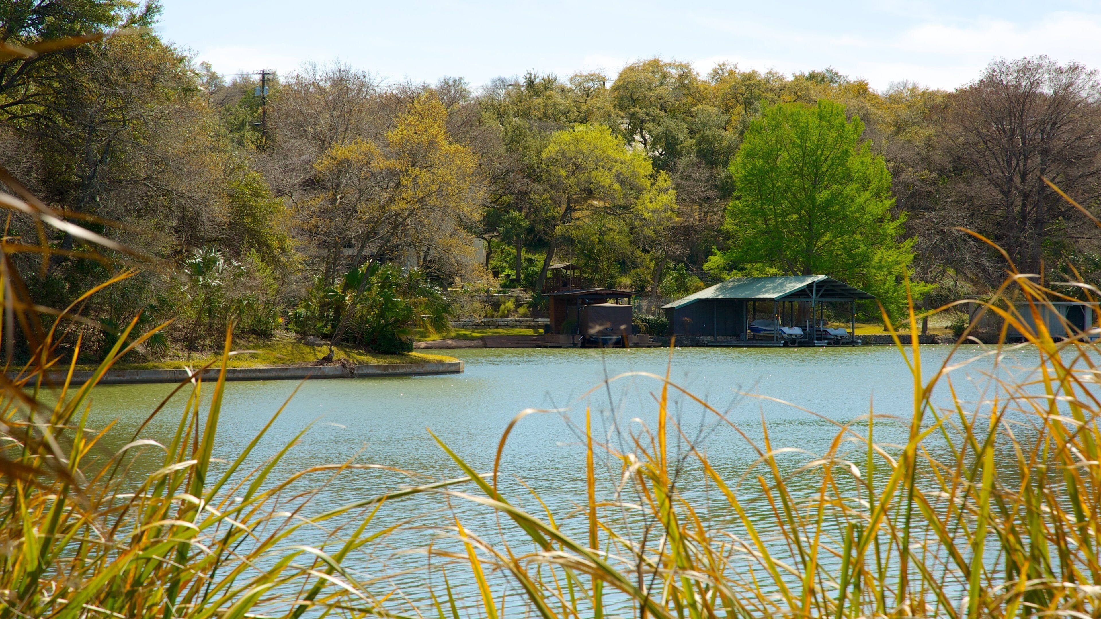 AMOA-Arthouse som inkluderar kustutsikter, landskap och höstlöv