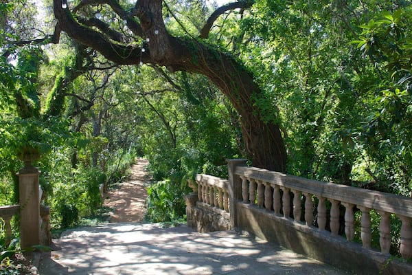 AMOA-Arthouse which includes a garden and forest scenes