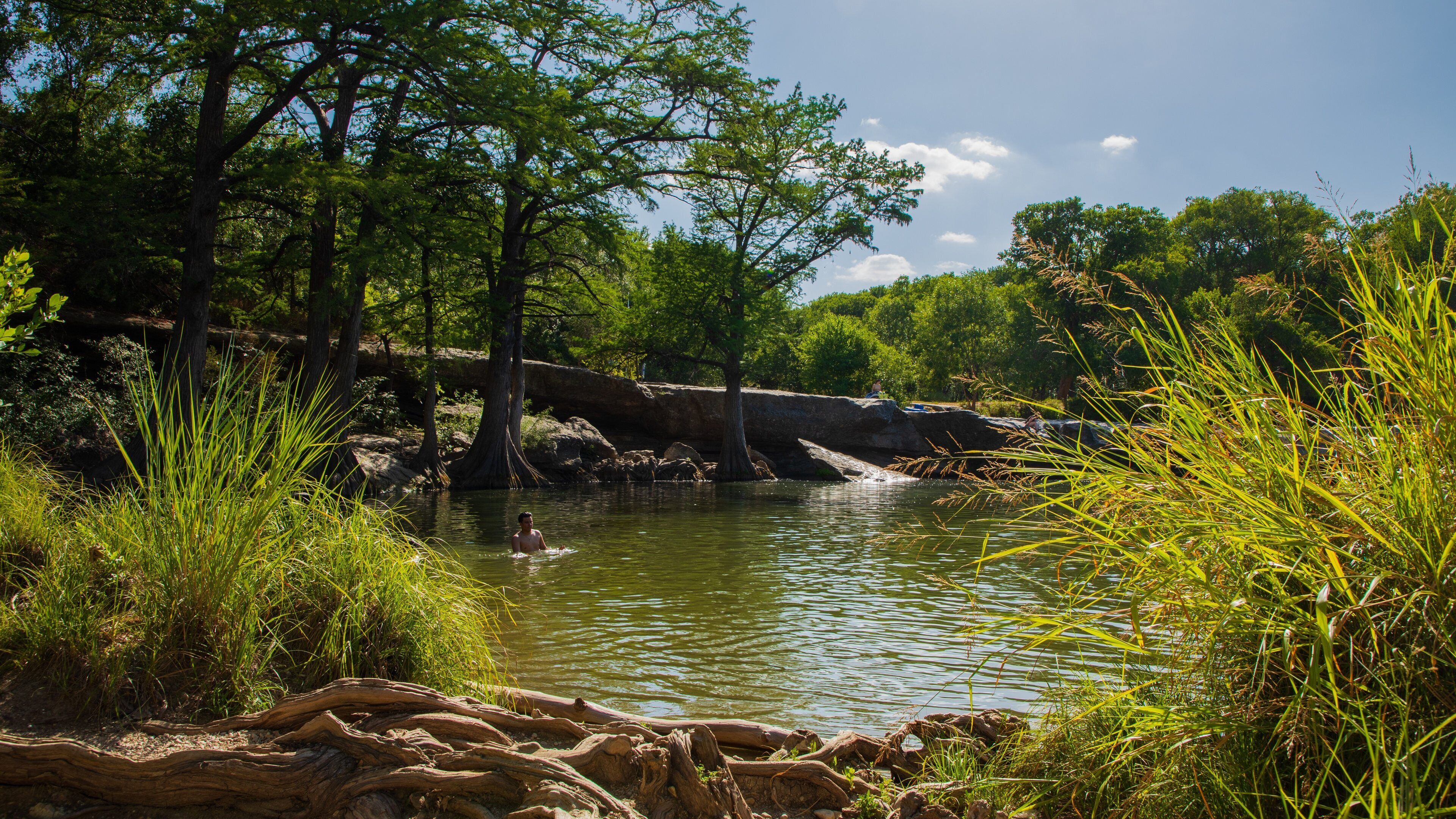 McKinney Falls State Park showing swimming and a pond