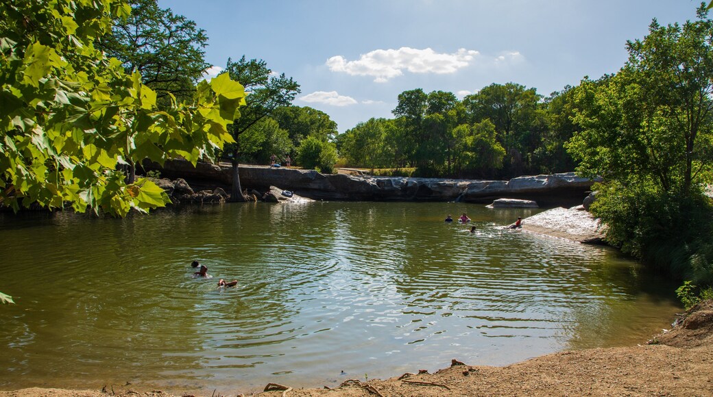 McKinney Falls State Park which includes swimming and a lake or waterhole