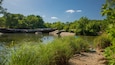 McKinney Falls State Park showing a lake or waterhole and swimming